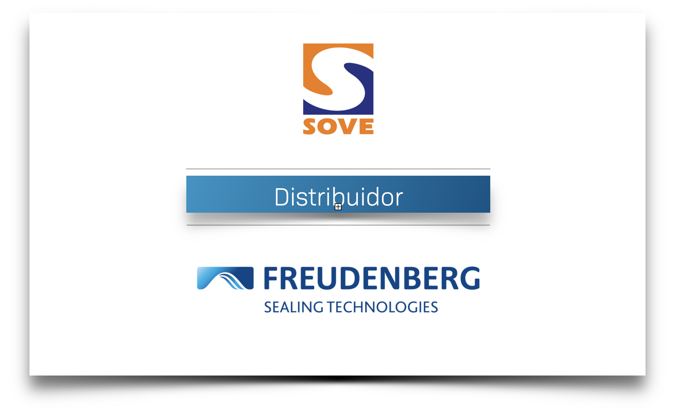 GRUPO SOVE, distribuidor oficial da Freudenberg Sealing Technologies