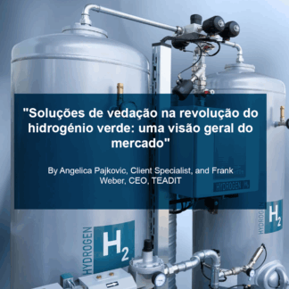 “Soluções de vedação na revolução do hidrogénio verde: uma visão geral do mercado”