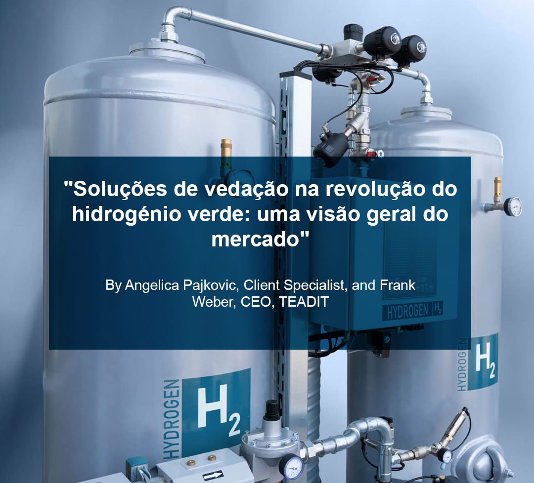 “Soluções de vedação na revolução do hidrogénio verde: uma visão geral do mercado”